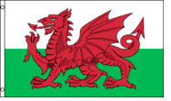 Wales 3x5 Nylon Flag - Imported