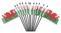 Wales 4"x6" Polyester - 12 Per Pack