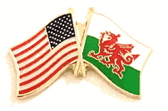 Wales Flag Lapel Pin - Double