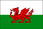 Wales Polyester 3x5