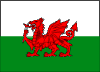 Wales Polyester 3x5