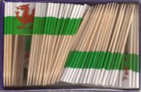 Wales Flag Toothpick Flags