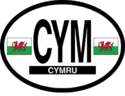 Wales Flag It Oval Decal