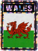 Wales Vinyl Reflective Decal