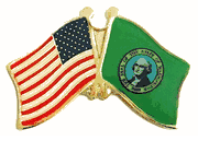 Washington Flag Lapel Pin --  Double