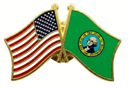 Washington Flag Lapel Pin --  Double