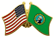 Washington Flag Lapel Pin --  Double
