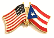World Flag Lapel Pins - Double Flag