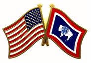 Wyoming Flag Lapel Pin - Double