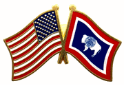 Wyoming Flag Lapel Pin - Double