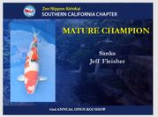 Mature Champion of the ZNA SoCal 43th Annual Koi Show 2017
