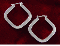 14K White Gold Earrings