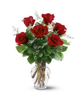 1/2 Dozen Red Roses