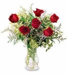 1/2 Dozen Rose 1/2 Dozen Rose