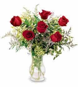 1/2 Dozen Rose