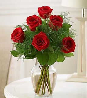 Love's Embrace 6 Roses