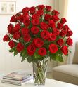 1-800-FLOWERS Ultimate Elegance 4 Dozen Roses