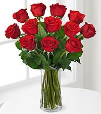 1 Dozen Long Stem Red Rose Bouquet  