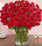 100 Red Roses Valentin