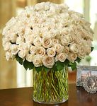 100 Premium Long Stem White Roses in a Vase