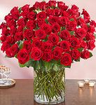 100 red roses Special 100 red roses Special