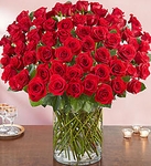 100 Stems Red rose
