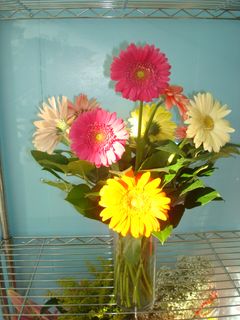 12 gerberas