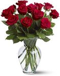 12 Red Roses Just because 12 Red Roses Just because