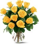  12 Yellow Roses 