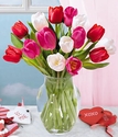 Sweetheart Tulips Sweetheart Tulips