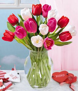  Sweetheart Tulips 