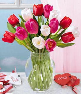  Sweetheart Tulips 