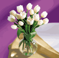 White Tulips