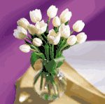 White Tulips