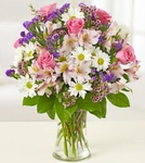17086_standard