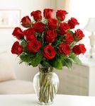 18 Roses Arranged in a Vase