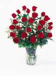 2 Dozen Roses  