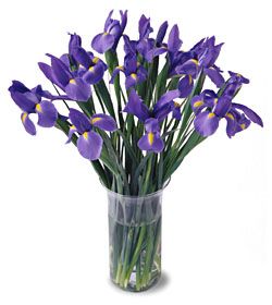 20 iris bouquet