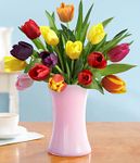 20 tulips (assorted colors) 20 tulips (assorted colors)