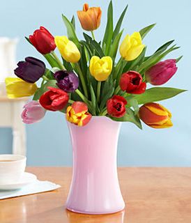 20 tulips (assorted colors)