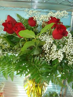 24 red rose