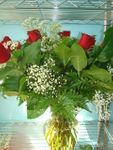 24 red rose 24 red rose