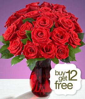 24 Red roses
