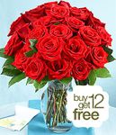24 Red roses