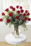 24 Rose Bouquet 24 Rose Bouquet