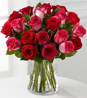 24 Spring Roses 