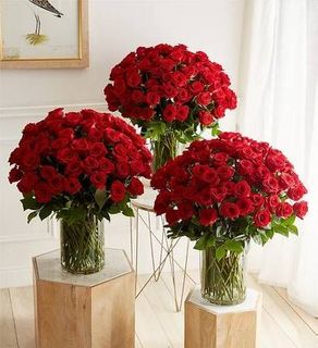 3 bouquet red roses
