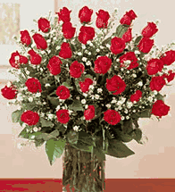 3 Dozen Long Stems Red Roses Arranged 