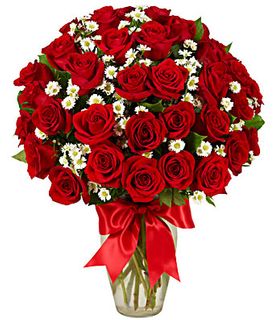 3 Dozen Roses - Red