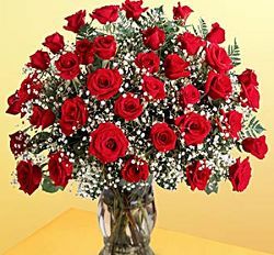 3 dozen roses Sympathy